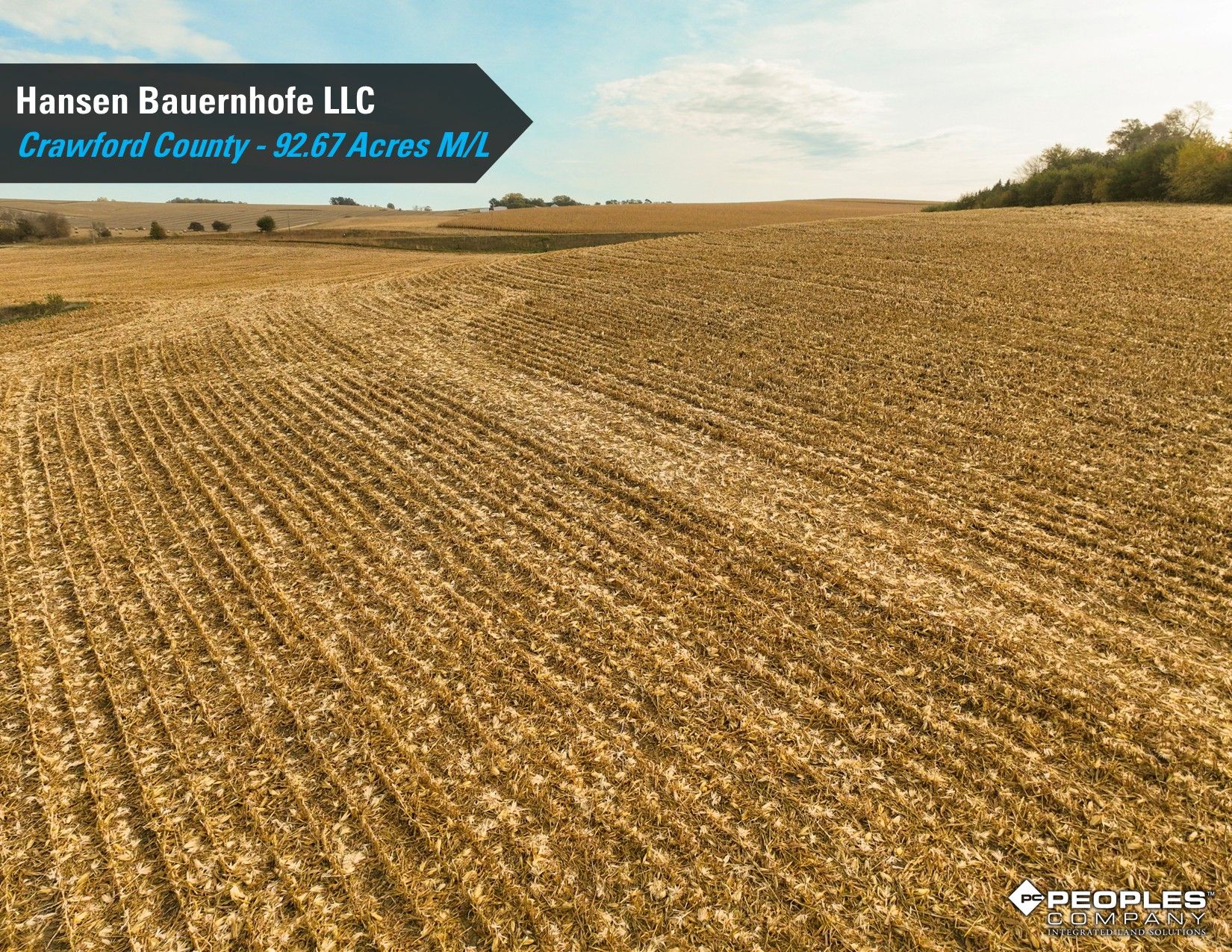 Listing Photo: Crawford-County-Iowa-Farmland-Auction-92.67-Acres-Bevis-Family-Trust-Two-Tracts (10)
